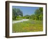Curve in Roadway with Wildflowers Near Gonzales, Texas, USA-Darrell Gulin-Framed Premium Photographic Print