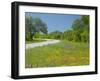 Curve in Roadway with Wildflowers Near Gonzales, Texas, USA-Darrell Gulin-Framed Premium Photographic Print