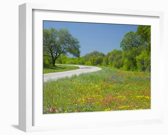 Curve in Roadway with Wildflowers Near Gonzales, Texas, USA-Darrell Gulin-Framed Premium Photographic Print