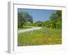 Curve in Roadway with Wildflowers Near Gonzales, Texas, USA-Darrell Gulin-Framed Premium Photographic Print