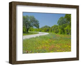 Curve in Roadway with Wildflowers Near Gonzales, Texas, USA-Darrell Gulin-Framed Photographic Print