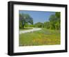 Curve in Roadway with Wildflowers Near Gonzales, Texas, USA-Darrell Gulin-Framed Photographic Print