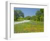 Curve in Roadway with Wildflowers Near Gonzales, Texas, USA-Darrell Gulin-Framed Photographic Print