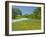 Curve in Roadway with Wildflowers Near Gonzales, Texas, USA-Darrell Gulin-Framed Photographic Print