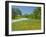 Curve in Roadway with Wildflowers Near Gonzales, Texas, USA-Darrell Gulin-Framed Photographic Print