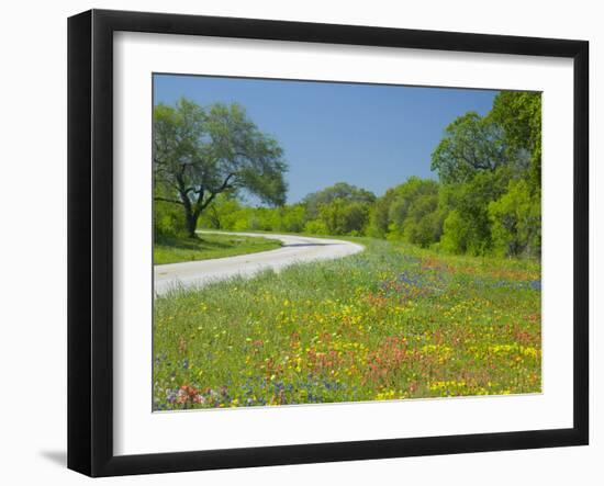 Curve in Roadway with Wildflowers Near Gonzales, Texas, USA-Darrell Gulin-Framed Photographic Print