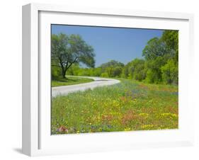 Curve in Roadway with Wildflowers Near Gonzales, Texas, USA-Darrell Gulin-Framed Photographic Print