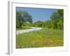 Curve in Roadway with Wildflowers Near Gonzales, Texas, USA-Darrell Gulin-Framed Photographic Print