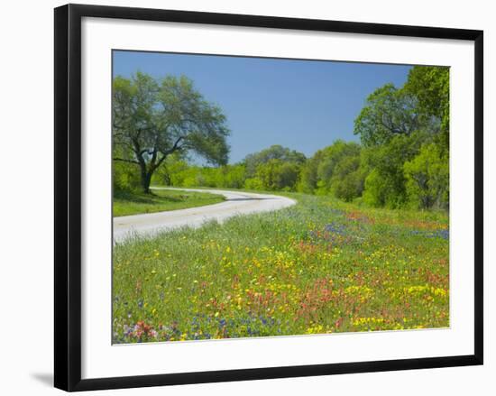 Curve in Roadway with Wildflowers Near Gonzales, Texas, USA-Darrell Gulin-Framed Photographic Print