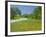 Curve in Roadway with Wildflowers Near Gonzales, Texas, USA-Darrell Gulin-Framed Photographic Print