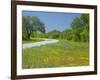 Curve in Roadway with Wildflowers Near Gonzales, Texas, USA-Darrell Gulin-Framed Photographic Print