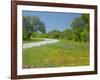 Curve in Roadway with Wildflowers Near Gonzales, Texas, USA-Darrell Gulin-Framed Photographic Print