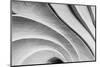 Curve Sculpture, Striped of Stone-pernsanitfoto-Mounted Photographic Print