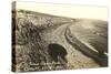 Curved Beach, Cardiff by the Sea, California-null-Stretched Canvas