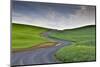 Curved gravel road through wheat and pea fields near Kamak Butte, Eastern Washington-Darrell Gulin-Mounted Photographic Print