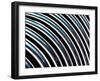 Curved Lines close up of a Section of a Fractal Image.-longlens-Framed Art Print