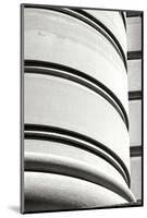 Curved Lines I-Tammy Putman-Mounted Photographic Print