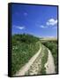 Curved Path Through Countryside, Old Winchester Hill, Hampshire, England, United Kingdom-Jean Brooks-Framed Stretched Canvas