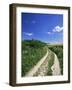 Curved Path Through Countryside, Old Winchester Hill, Hampshire, England, United Kingdom-Jean Brooks-Framed Photographic Print