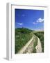 Curved Path Through Countryside, Old Winchester Hill, Hampshire, England, United Kingdom-Jean Brooks-Framed Photographic Print