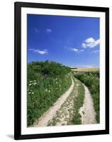 Curved Path Through Countryside, Old Winchester Hill, Hampshire, England, United Kingdom-Jean Brooks-Framed Photographic Print