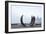 Curved Sculpture-Sharon Wish-Framed Photographic Print