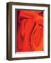 Curves 2-Rabi Khan-Framed Art Print