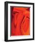 Curves 2-Rabi Khan-Framed Art Print