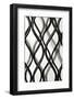 Curves I-Tammy Putman-Framed Photographic Print