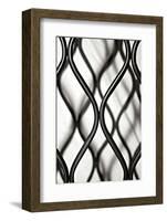 Curves II-Tammy Putman-Framed Photographic Print