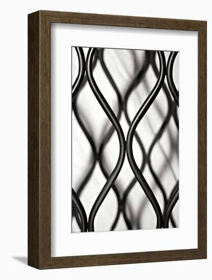 Curves II-Tammy Putman-Framed Photographic Print