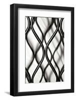 Curves II-Tammy Putman-Framed Photographic Print