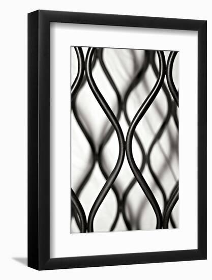 Curves II-Tammy Putman-Framed Photographic Print