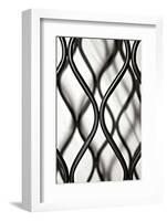 Curves II-Tammy Putman-Framed Photographic Print