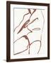 Curves II-Jennifer Parker-Framed Art Print