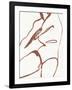 Curves II-Jennifer Parker-Framed Art Print