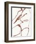 Curves II-Jennifer Parker-Framed Art Print