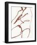 Curves II-Jennifer Parker-Framed Art Print