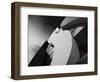 Curves-Willem-Framed Photographic Print