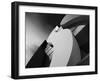 Curves-Willem-Framed Photographic Print