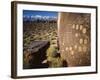 Curvilinear Abstract-Style Petroglyphs and Eastern Sierra Mountains, Bishop, California, Usa-Dennis Flaherty-Framed Photographic Print