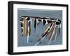 Curving Border-MacEwan-Framed Giclee Print