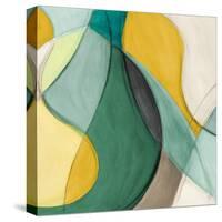 Curving Color Square II-Lanie Loreth-Stretched Canvas