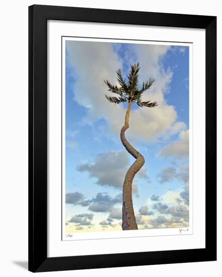 Curving Palm-John Gynell-Framed Giclee Print