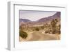 Curving Road in Joshua Tree National Park-Richard T. Nowitz-Framed Photographic Print