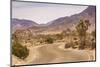 Curving Road in Joshua Tree National Park-Richard T. Nowitz-Mounted Photographic Print