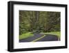 Curving road though lush forest, Olympic National Park, Washington State-Adam Jones-Framed Photographic Print