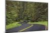 Curving road though lush forest, Olympic National Park, Washington State-Adam Jones-Mounted Photographic Print