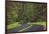 Curving road though lush forest, Olympic National Park, Washington State-Adam Jones-Framed Photographic Print