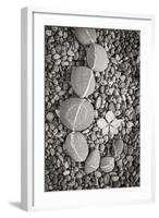 Curving Rocks II-Kathy Mahan-Framed Photographic Print